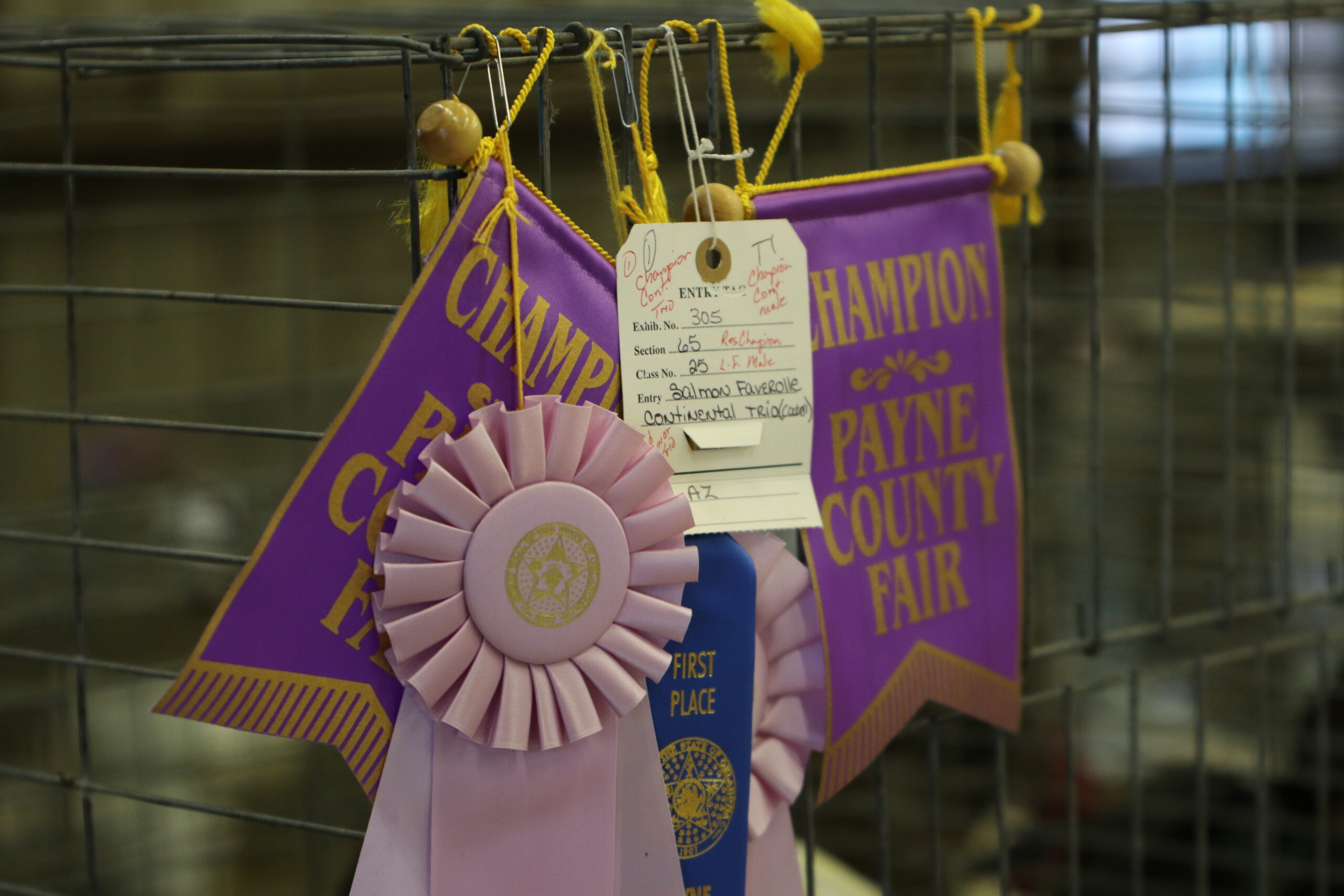 aug 4 - county fair