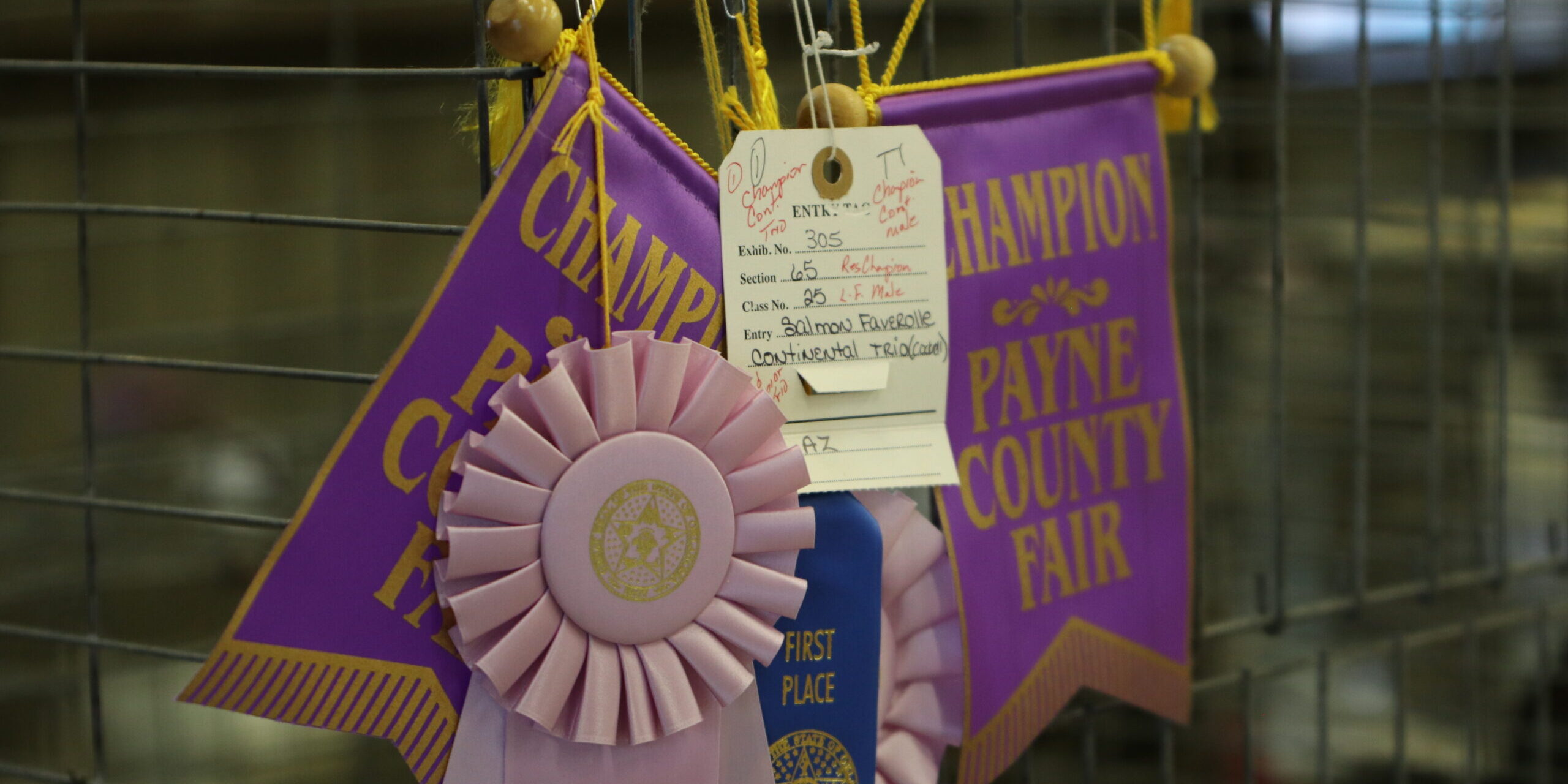 aug 4 - county fair